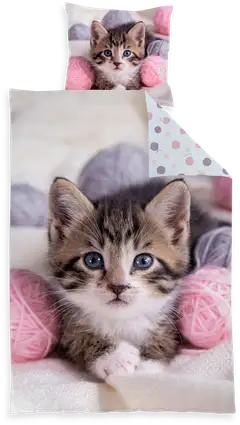 Ciraf lasten pussilakanasetti Kissanpentu 150x210 cm + 50x60 cm - 1