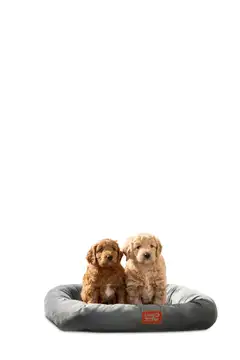 Beurer PP250 Kira lämmitettävä lemmikin sänky - 7