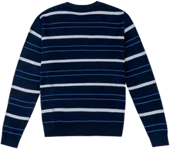 House miesten neulepusero CYCLO® 195H282507 - Dark blue base color - 2