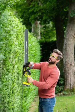 Ryobi akkupensasleikkuri RY18HTX60A-0 - 2