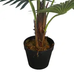 Lykke tekokasvi fan palm 100cm - 2