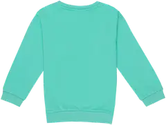 Ciraf lasten collegepusero 25TC260205 - Green - 2