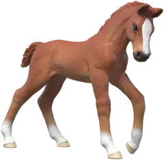 Schleich Keräily Varsat - series 2 - 4