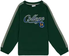 Ciraf lasten collegepaita 25PC260230 - Pineneedle - 1