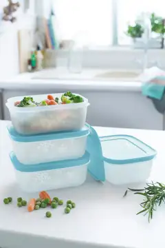 Tupperware rasiasetti FreezerSmart 4 x 450 ml - 2