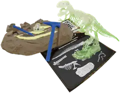 Science4You T-Rex Glow In The Dark - 1