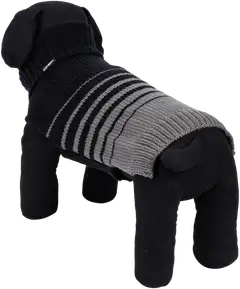 Icepeak Pet Funky neule XS musta - 3