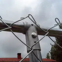 Trekker koira-aitaus katoksella 3x1,5 m harmaa - 3