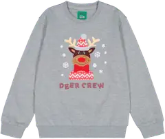 Approved by Santa lasten joulucollege Deer Crew - Grey - 1