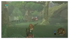 Nintendo Switch The Legend of Zelda: Breath of the Wild - 8