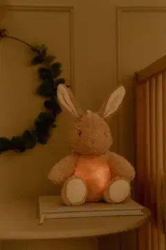 Yövalo musiikilla Newborn Baby Bunny - 4