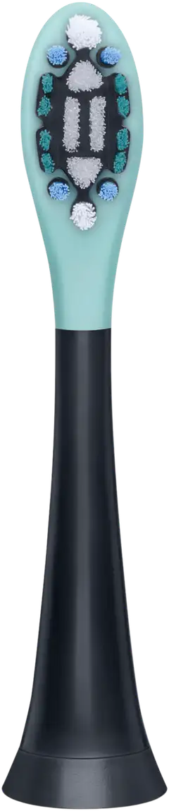 Beurer SC 4 kpl Protection Plus vaihtoharjoja sonic-sähköhammasharjaan - 2