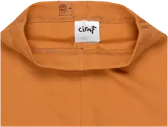 Ciraf vauvojen ribbileggingsit 250B252926 2-pack - Biscuit & Skipper blue - 6