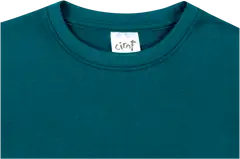 Ciraf lasten collegepaita 25PC252808 - Green - 3