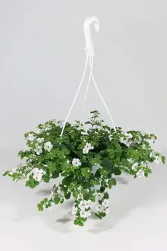 Lumihiutaleamppeli 23 cm - 1