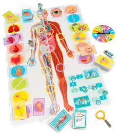 Tactic lautapeli Let's learn Our Amazing Body englanninkielinen - 2