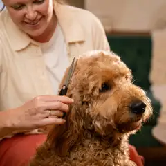 Fiskars lemmikin trimmaussakset - 4