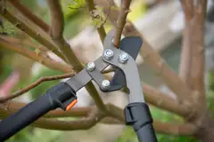 Kendo Bypass-raivaussakset 30"/750mm - 6