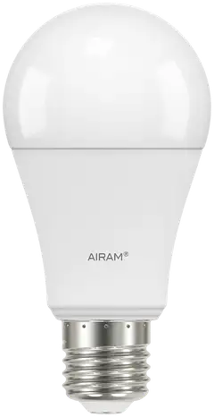 Airam kasvilamppu vakio E27 4000K 1100lm - 1