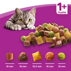 Whiskas 1+ Kanaa 800g - 2