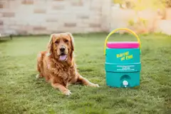 Igloo juomasäiliö Retro 8 l jade - 11