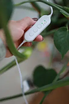 Airam Ivy kasvivalo 14W/835 650lm - 2