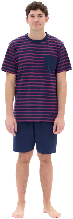 RATIA miesten shortsipyjama - t. sininen/viininpunainen - 3