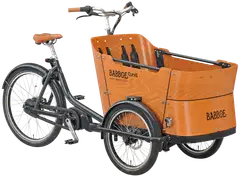 Babboe Curve Mountain tavarasähköpyörä 20/26" - 1