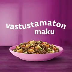 Whiskas Junior sis. Kanaa (800 g) - 3