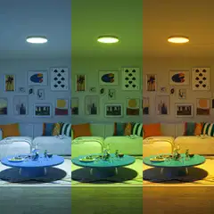 Philips Smart Lighting kattovalaisin pyöreä 24W RGB + valkoinen säädettävä kaukosäätimellä - 12
