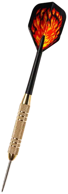Gamesson tikat Beast Steeltip Darts 20gr - 3