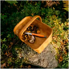 Fiskars sieniveitsi 21 cm oranssi - 6