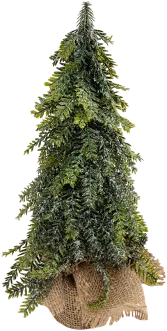 Pöytäkuusi 35cm M, erilaisia - 4