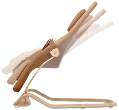 Maxi-Cosi Dove Pro sitteri Elegance Bronze - 3