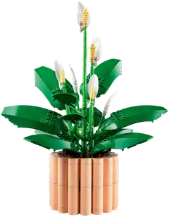 LEGO® Botanicals 11504 Viirivehka - 4