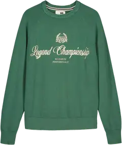 WKLY. miesten neulepusero Legend Championchip - Green acid wash - 1