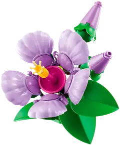 LEGO® Botanicals 10372 Hibiskus - 7