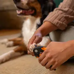 Fiskars lemmikin kynsileikkuri isommille kynsille - 4