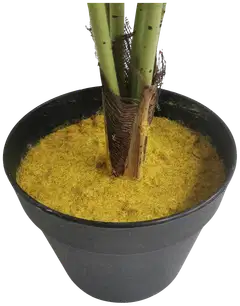 Lykke tekokasvi peace lily 105cm - 2