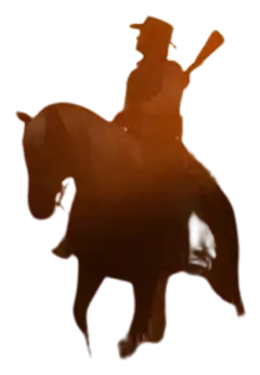 NSW Red Dead Redemption - 6