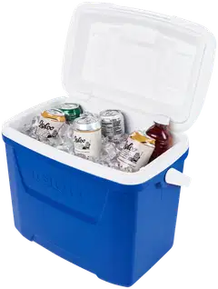 Igloo Laguna 27 l -kylmälaukku sininen - 3