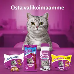 Whiskas Kissanmaito 3x200ml - 4