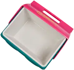Igloo Playmate Kooltunes -kylmälaukku bluetooth-kaiuttimilla 13 l jade - 6
