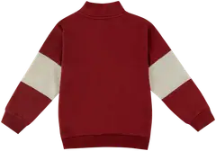 Ciraf lasten vetoketjullinen collegepaita 25PC252827 - 19-1934tcx tibetan red - 2