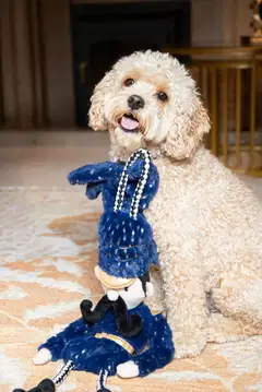 Rosewood koiranlelu Nermal Nutcracker - 8