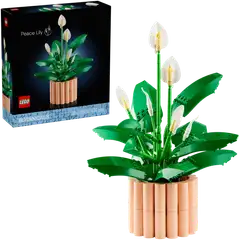 LEGO® Botanicals 11504 Viirivehka - 1