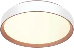 FocusLight Primus kattovalaisin halk:39cm, 36W, Valkoinen, sis.kaukosäädin, koukkukiinnitys ja sisältää pistotulpan, IP20 - 2