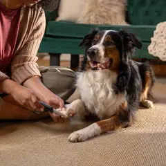 Fiskars lemmikin kynsiviila - 5