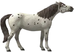 Schleich Knabstrupinhevonen, ruuna - 4
