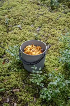 Orthex sanko 10 L - 9